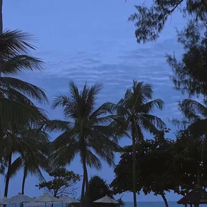 国产chase男男Gay廖承宇
